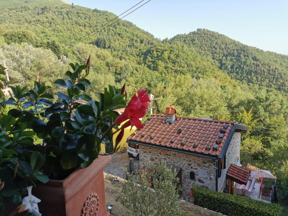 Deliziosa Casetta Sull'Appennino Toscano Montefegatesi Extérieur photo